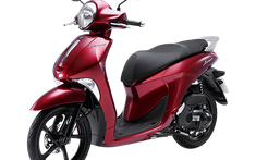 Yamaha Janus: Giá xe Janus tháng 7/2019 mới nhất hôm nay