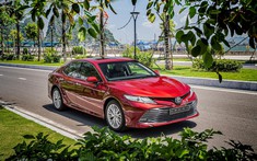 Trong nửa đầu năm 2019, Toyota đã bán 37.064 chiếc ô tô cho người Việt