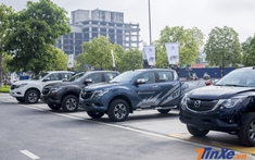 Chưa đầy 600 xe tải và bán tải cập cảng Việt trong nửa đầu tháng 8, báo hiệu tháng khan hàng