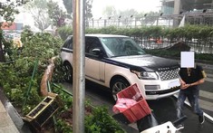 Đến cây xanh ngã cũng phải "né" xe sang tiền tỷ Range Rover khiến cộng đồng mạng thích thú
