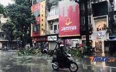 Bão Wipha suy yếu vẫn gây mưa to gió giật, cây đổ la liệt trên nhiều tuyến phố Hà Nội