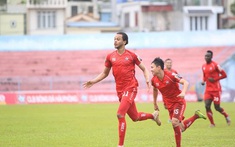 Vòng 22 V-League 2019: Hải Phòng thoát hiểm, Thanh Hóa lâm nguy