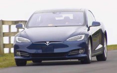 Xe điện Tesla ít bị ăn trộm hơn 90% so với xe chạy xăng thông thường