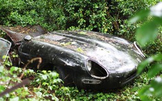 "Báo gấm" Jaguar E-Type bị bỏ rơi 30 năm trong rừng được phục chế long lanh như mới