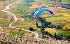 Về Yên Bái chất ngất men say hội xòe, lướt bay giữa mùa vàng ruộng bậc thang và thậm thình cùng tiếng chày giã cốm