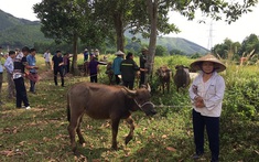 Quảng Ninh: Phấn đấu hết năm 2019 không còn hộ nghèo thuộc đối tượng chính sách người có công với cách mạng