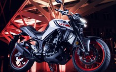 Yamaha MT-25 và Yamaha MT-03 2020 có giá bán chính thức, khởi điểm 88 triệu đồng