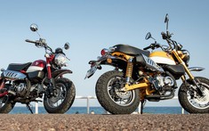 Honda Monkey nhận lệnh triệu hồi vì lỗi baga sau