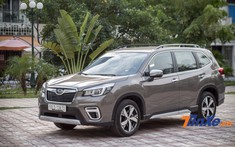 Subaru Forester 2019 - Chiến mã ẩn mình dành cho người sành