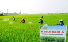 Giao Thủy: Những dấu ấn nổi bật trong xây dựng nông thôn mới