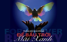 Trưng bày “Để bầu trời mãi xanh”