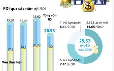Việt Nam thu hút 28,5 tỷ USD vốn đầu tư nước ngoài trong năm 2020