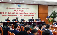 Nhiều điểm sáng của ngành Nông nghiệp trong năm 2020
