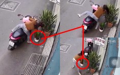 Video: Cô gái chạy xe tay ga quyết tâm lấy bằng được chậu cây cảnh dù đã gặp nạn