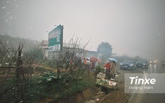 Lái ô tô trong thời tiết sương mù, tài xế cần lưu ý điều gì?
