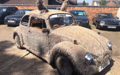 Chiếc Volkswagen Beetle 1978 "đặc biệt lông lá" này đang được chào bán giá 140 triệu đồng