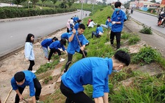 Tuổi trẻ Thủ đô đồng loạt ra quân Ngày Chủ nhật xanh toàn quốc