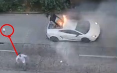 Bất lực vì không dập tắt ngọn lửa bao trùm siêu xe Lamborghini, đại gia ném bình cứu hoả lên không trung