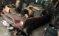 Bị bỏ hoang hơn 30 năm nhưng chiếc Ford Mustang Shelby GT500 1968 quý hiếm vẫn được chào bán 1,6 tỷ đồng