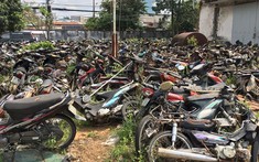 Nộp tiền bão lãnh sẽ không bị tạm giữ xe vi phạm giao thông