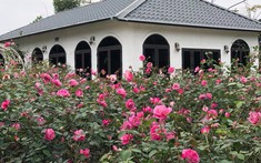 Những lưu ý "sống còn" khi lùng mua đất làm nhà vườn, homestay