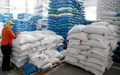 Thanh tra Chính phủ chính thức vào cuộc thanh tra về xuất khẩu gạo