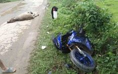 Hòa Bình: Nam thanh niên "cưỡi" Yamaha R15 đâm chết "trẻ trâu" trên đường thuộc xã Đú Sáng