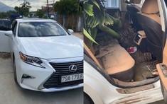 Cô gái bị cư dân mạng "ném đá" vì khoe video dùng xe sang Lexus chở 2 gốc cây