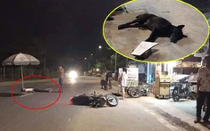 Quảng Nam: Tông vào chó thả rông, người đàn ông chạy xe máy bị thương nặng