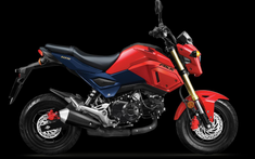 Honda MSX 125 2020 ra mắt tại Việt Nam có gì đặc biệt?