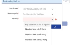 Về việc BHXH Việt Nam và Ngân hàng BIDV phối hợp triển khai nộp tiền gia hạn thẻ BHYT, đóng tiếp tiền BHXH tự nguyện trực tuyến