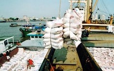 Kết luận của Phó Thủ tướng về việc xuất khẩu gạo