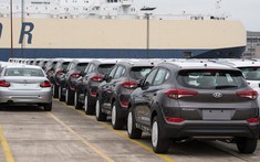 Ô tô Hyundai tồn đọng tại cảng vì ế khách