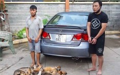 Bình Dương: Tóm băng trộm chó bằng ô tô Honda Civic ngay giữa dịch Covid-19
