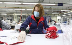 Khẩu trang Việt Nam dồn dập xuất đi Mỹ, châu Âu