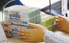 Điều chỉnh dự toán chi ngân sách của Văn phòng Trung ương Đảng, Bộ Ngoại giao
