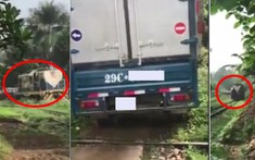 Video: Xe tải biển Hà Nội chạy đường tắt bị kẹt ở đường ray khiến 2 đoàn tàu dừng chờ