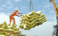 Thủ tướng đồng ý xuất khẩu gạo trở lại nhưng phải đảm bảo an ninh lương thực