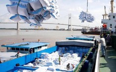 Thủ tướng chỉ đạo tháo gỡ khó khăn cho xuất khẩu gạo