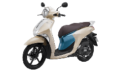Đây là các lỗi thường gặp trên xe ga Yamaha Janus và cách khắc phục