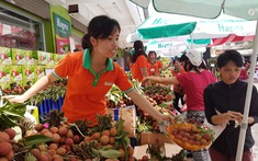 Giao thương trực tuyến nông sản với Trung Quốc, Singapore