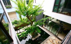 Cách làm mát nhà mùa nóng mà không cần điều hòa
