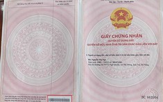 GCN quyền sử dụng đất không có mã vạch ở trang cuối là thật hay giả?