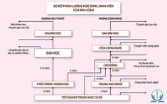 Phân luồng học sinh sau trung học cơ sở vào Giáo dục nghề nghiệp