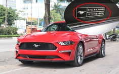 Chiếc xe Ford Mustang mới về Hà Nội có logo rất đặc biệt khiến nhiều người lầm tưởng