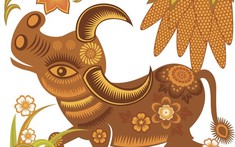 Bật mí hướng giường ngủ cho tuổi Quý Sửu chuẩn phong thủy