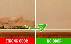 6 lý do khiến nhà bạn có mùi hôi và cách khắc phục