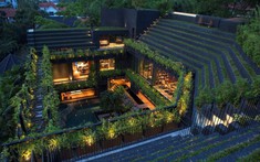 Ghé thăm ngôi nhà vườn như ốc đảo xanh mát giữa lòng phố thị