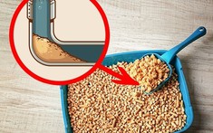 6 thứ có thể gây tắc nghẽn đường ống thoát nước nhà bạn