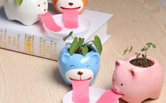 14 chậu cây sáng tạo bất ngờ cho không gian nội thất thêm vui mắt